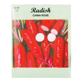 Set of 25 Radish China Rose Vegetable Seed Packs - 100% GMO Free - Heirloom - Black Duck Brand (25, Radish- China Rose)