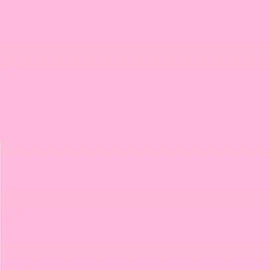 Pack of 3 LEE No. 153 Pale Salmon - 24 x 24 cm Transparent Heat Resistant Coloured Film for Photo Studio PAR 64 Headlight - Gel Colour Filter Film (Pack of 3, Lee 153 Pale Salmon)
