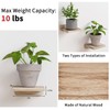 Fixwal Floating Shelves for Wall, Rustic Wood Small Wall Mounted