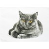 Half a Donkey The Grey Cat Large Cotton Tea Towel