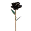 Long Stem Dipped 24k Gold Trim Red Rose In Gold