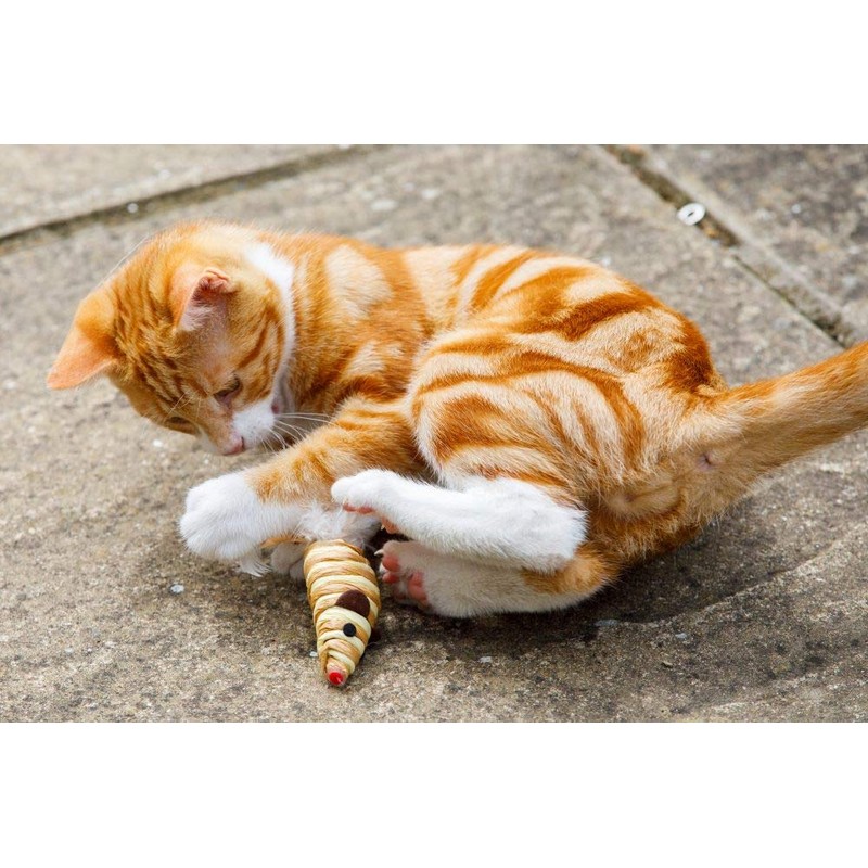 Catkins by Petface Sisal Mouse Cat Toy