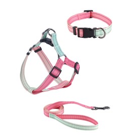 ECHOBTEN-STORE Soft nylon material dog leash,Equipped with reflective lines, Durable metal buckles, Suitable for small or medium-sized dogs, pattern full of bright colours (Gradient Pink, S)