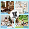 Portable Travel Dining Chair Seat Belt, Portable Seat Belt for