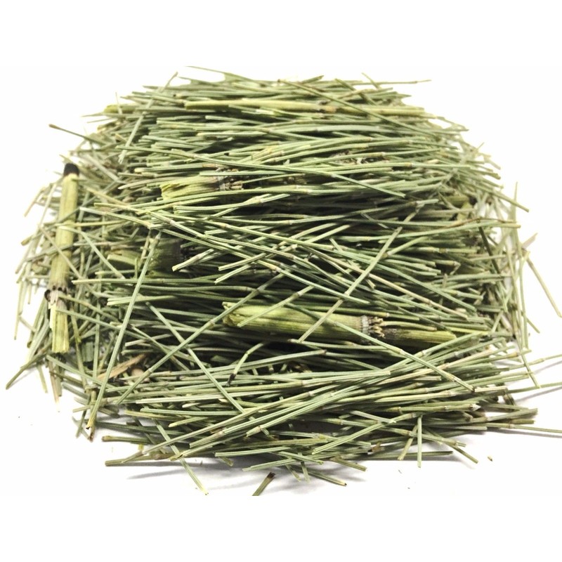 COLA DE CABALLO HIERBA 200Gr (7oz) CONGESTION NASAL BRONQUIOS/HORSETAIL TEA