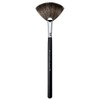 Royal & Langnickel Silk Pro Dust Off Stray Eye Make-Up