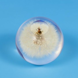 YouerCrystal Real Dandelion Decor, Dandelion Resin Crystal Ball Paperweight, 2.56in Home Office Desktop Decor Decoration, Birthday, Wedding Gift and Valentine's Day Gifts