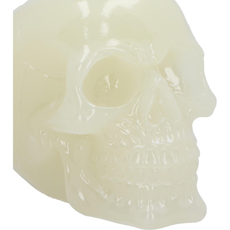 Nemesis Now Phosphorescent Glow in Dark Skull Figurine, Resin, Luminous