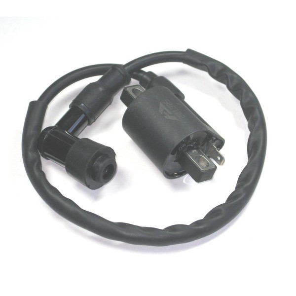 Lumix GC Ignition Coil Module Magneto For DINLI 50CC 90CC