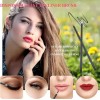 Kit Paleta De Maquillaje Profesional Con Espátula Y Cepillo
