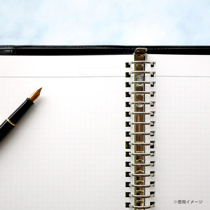 Maruman HL207B Loose Leaf B5 Jiuris Square 5mm 50 Sheets