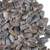 Whole Sunflower Sprouting Seeds: 5 Gram Packet ~250 Seeds -