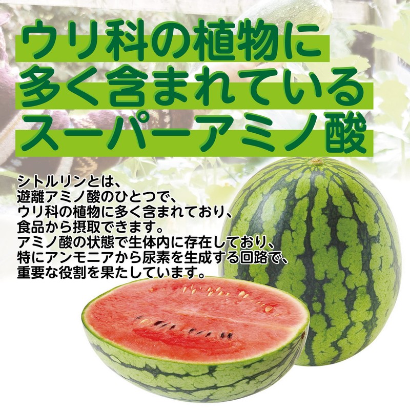 L-シトルリン 360粒 4ヶ月分 錠剤 タブレット