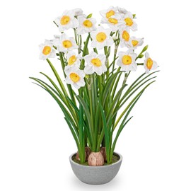 Artificial Flowers in Pot 16" Fuax Daffodil Potted Flowers Plant Decor Room Farmhouse Fake White Flower Plants Centerpieces Desktop Spring Summer Flowers Home Decor Indoor for Living Room Kitchen