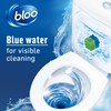 Bloo Toilet Blocks Limescale Prevention, Pack of 2