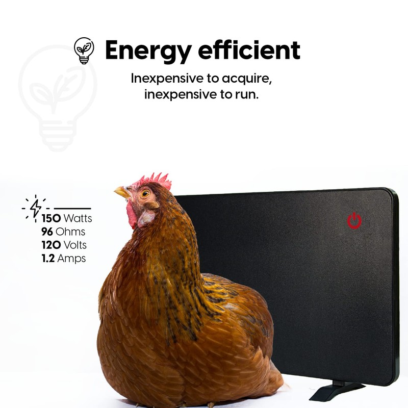 Econohome Safe Chicken Coop Heater, Safer Than Brooder Lamps, Gently