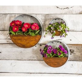 Evergreen Garden 15-inch Galvanized Metal Circle Wall Planter