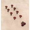 TORX Translucent RED Screws Set For Benchmade Bugout 535 &