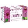 MONDAISA - Echinacea Tea, 20 Tea Bags (Pack of 4),