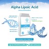 Alpha Lipoic Acid 300mg 120 Capsules – Dual ALA (Both