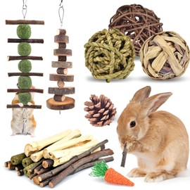 ERKOON Rabbit Accessories, 10 Types of Rabbit Chew Toy, Rabbit Activity Small Animals, Natural Timothy Hay Sticks, Apple Sticks, Dental Care, Treats, Chinchilla, Guinea Pigs, Gerbils