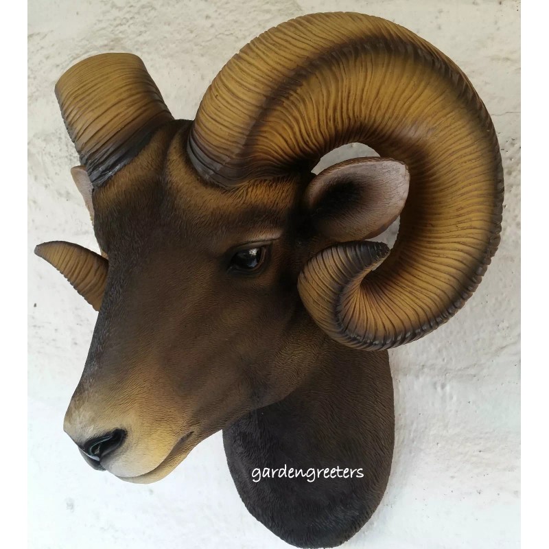 GARDENGREETERS RAM HEAD WALL MOUNT BIGHORN