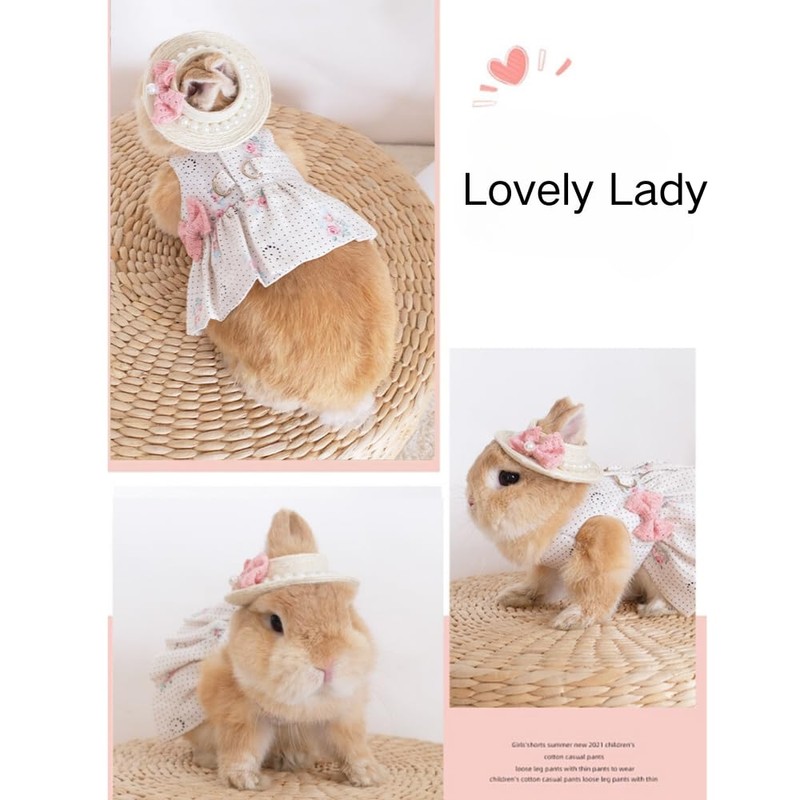 Rabbit Harness and Leash with Lovely Hat - Bunny Harness