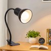 Clip on Desk Lamp, 360° Rotating Ggooseneck Lamp, Ring Light,
