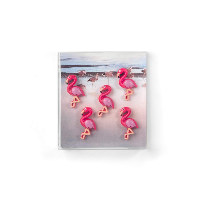 Trendform® Assorted Popular Shape Office Magnets-10.73 (Set of Home Accessories),