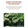 * Mascarilla Arcilla Poros Sk1004 Con Centella Moisture