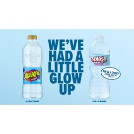 Splash Refresher Flavored Water Bottles, Pineapple Mango Flavor - 6-Pack, 16.9 Fl Oz - Refreshing Flavored Bottled Water with Electrolytes - Zero Sugar & Zero Calories