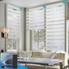 DENFOON Motorized Zebra Blinds, Solar Powered Dual Layer Automatic Shades