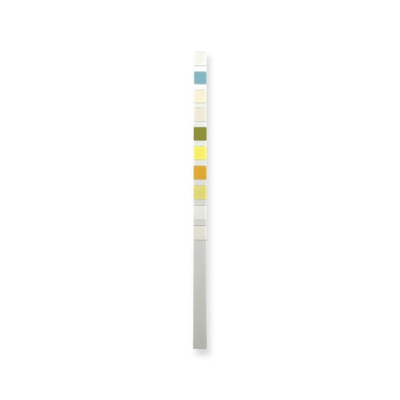 One Step 10 x Vet Pet Urine Test Strips -