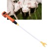 Animal Prod Harmless Waterproof LED Electric Livestock Prod for Pig
