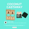 Natural Body Wash 2-Pack + Scrubber - Dr. Squatch:_Coconut Castaway