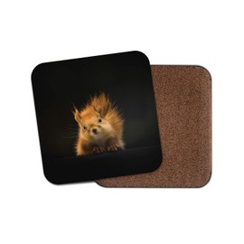 1 x Cute Red Squirrel Coaster - Forest Animal Kids British Wildlife Fun #13158
