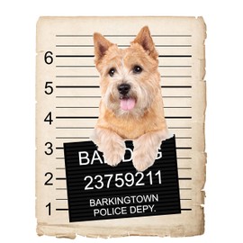 Norwich Terrier Dog in Pocket Car Bumper Magnet, Magnetic for Refrigerator, Decorative Fridge Magnet, Office, Whiteboard, Kitchen, Locker Waterproof Decor, Family & Friends, 4x7 in