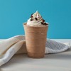 Big Train Low Carb Mocha Blended Ice Coffee Beverage Mix,