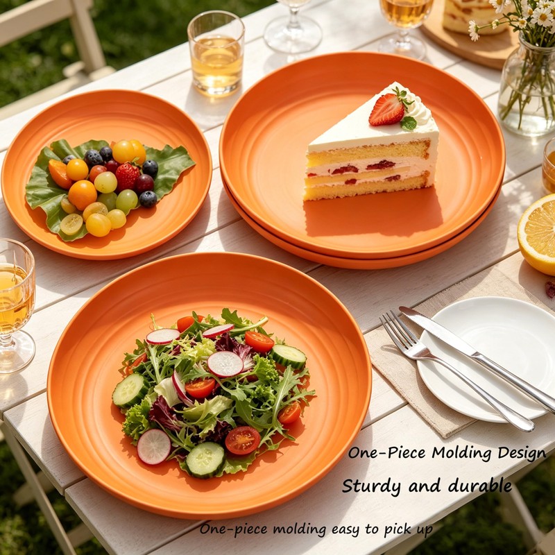 YUNSHENGFANGDM Wheat Straw 9 Inch Dinner Plates, 4 Pack Sturdy