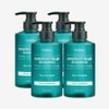 [Elumam] Kundal Pro Clean Dandruff Shampoo Apple Green Tea 500ml 4pcs / [엘루맘] 쿤달 프로 클린 비듬샴푸 애플그린티 500ml 4개