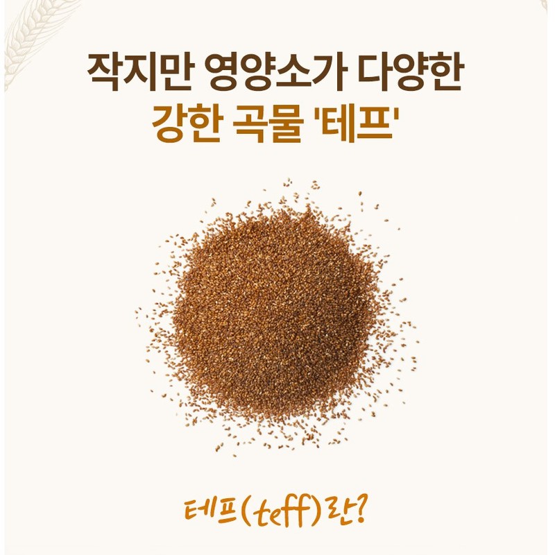 Bewell Teff Enzyme Grain Fermentation Enzyme Powder Enzyme Lactobacillus High