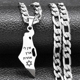 SANDOO Israel Map Necklace with Star of David - Jewish Jewelry,Stand with Israel & Show Support,Jewelry Gift for Men,Women,Girls,Teens,Stainless Steel, Stainless Steel, No Gemstone, Silver