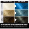 Punky Lagoon Blue Semi Permanent Conditioning Hair Color, Non-Damaging Hair