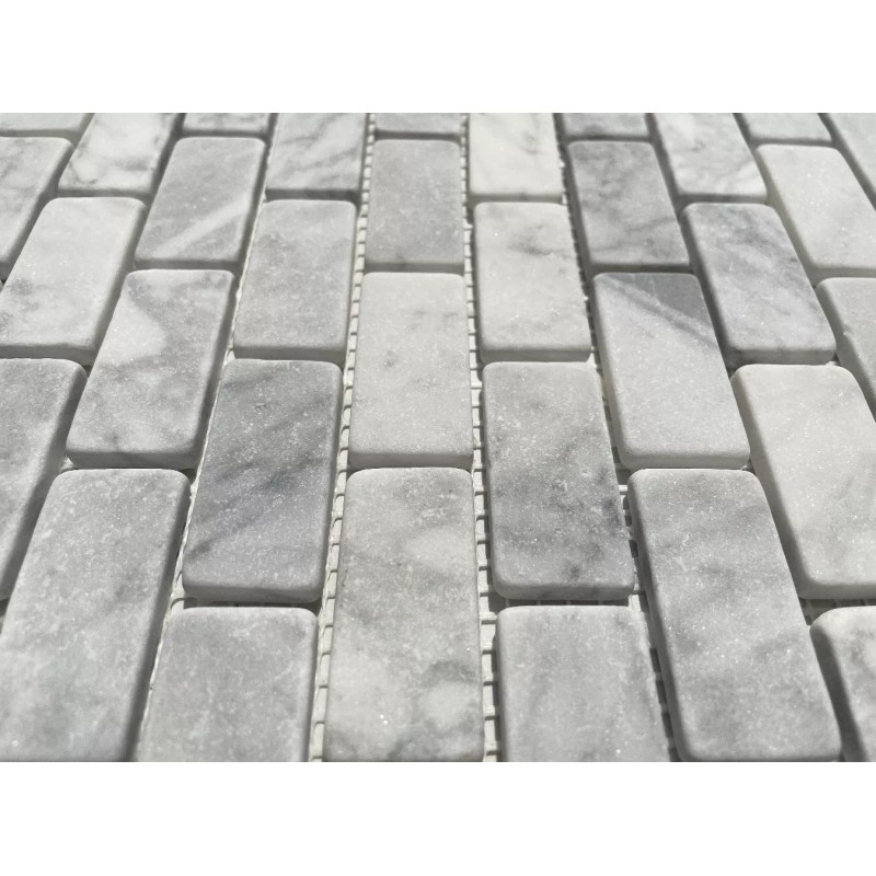 Stone Center Online C63XT Non Slip Shower Tile Carrara White