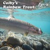 Panther Martin PMRSH_6_G Classic Single Hooks Teardrop Spinners Fishing Lure