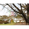 Sanyu Sangyo UUU-0077 Guy Rope, Reflective Red, Thickness 0.1 inches