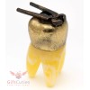 Brass Amber Tooth Shaped Figurine with pliers dentist's present IronWork