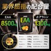 JAKS EAA 600g BCAA ベータアラニン クレアチン グルタミン クエン酸 HMB 必須アミノ酸