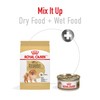 Royal Canin Breed Health Nutrition Pomeranian Adult Dry Dog Food,