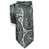 (リトリーズ) RETREEZ ペイズリー アート柄 マイクロファイバー 織り生地 細ネクタイ - ブラック地&シルバー